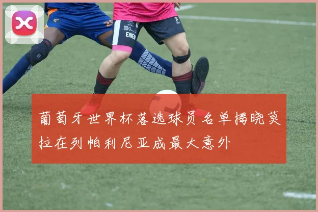 葡萄牙世界杯落选球员名单揭晓莫拉在列帕利尼亚成最大意外