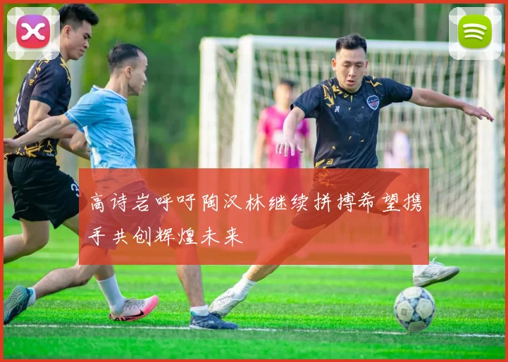 高诗岩呼吁陶汉林继续拼搏希望携手共创辉煌未来