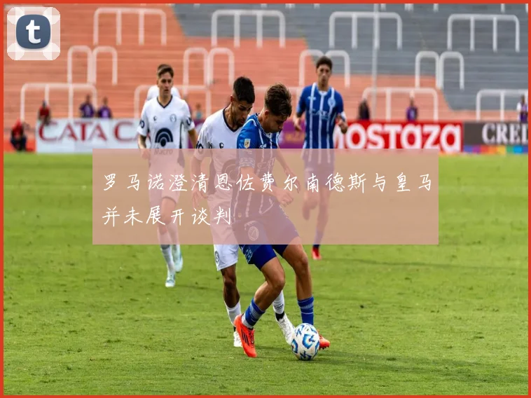 罗马诺澄清恩佐费尔南德斯与皇马并未展开谈判
